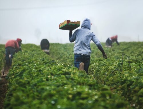 Protecting Rural and Agricultural Workers Across Northern California Growth Corridors
