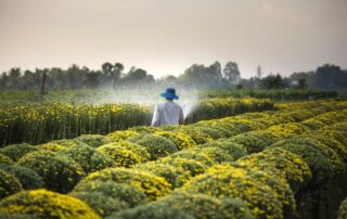 Agricultural worker performing field duties illustrating workers' compensation for agricultural workers.