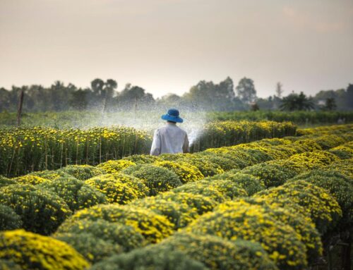 Workers’ Compensation for Agricultural Workers: Common Injuries and Your Rights